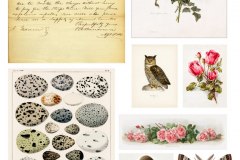 katecrafts_com_freebie_194